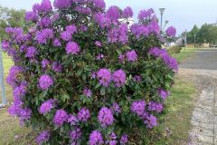 photo-15
