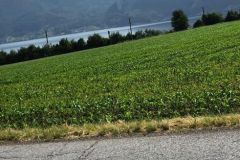photo-49