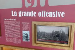 photo-03