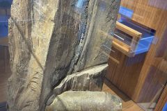 photo-11