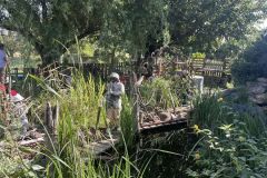 photo-16
