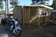 photo-18