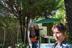 photo-50