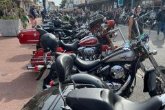 photo-22