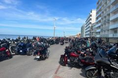 photo-23