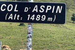 photo-40
