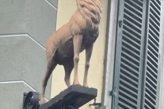 photo-17