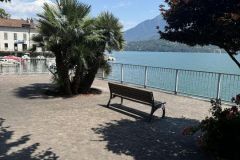 photo-29