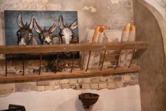 photo-19